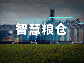 實時監(jiān)測+智能預警！松柏傳感氣體傳感器助力綠色儲糧